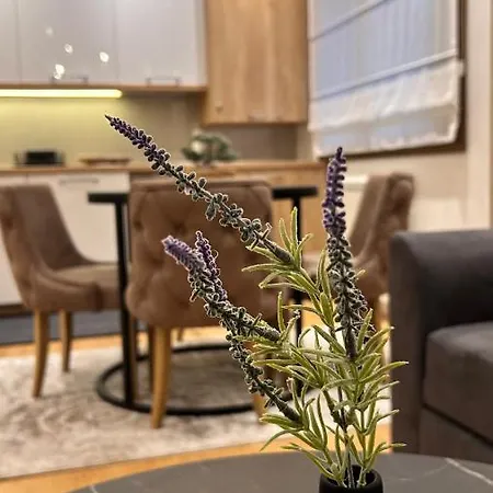 Luna-apartman 1 Zlatibor